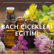 Bach Çiçekleri Eğitimi